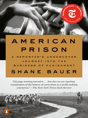 cover image of American Prison